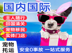 阿拉尔塔里木机场物流国际宠物托运 【国
